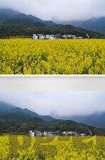8b足球比分-探秘8b足球比分，一场数据背后的激情与策略盛宴
