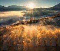 足球比分直播手机APP-足球比分直播手机APP，球迷的掌中宝，赛场风云的即时触达